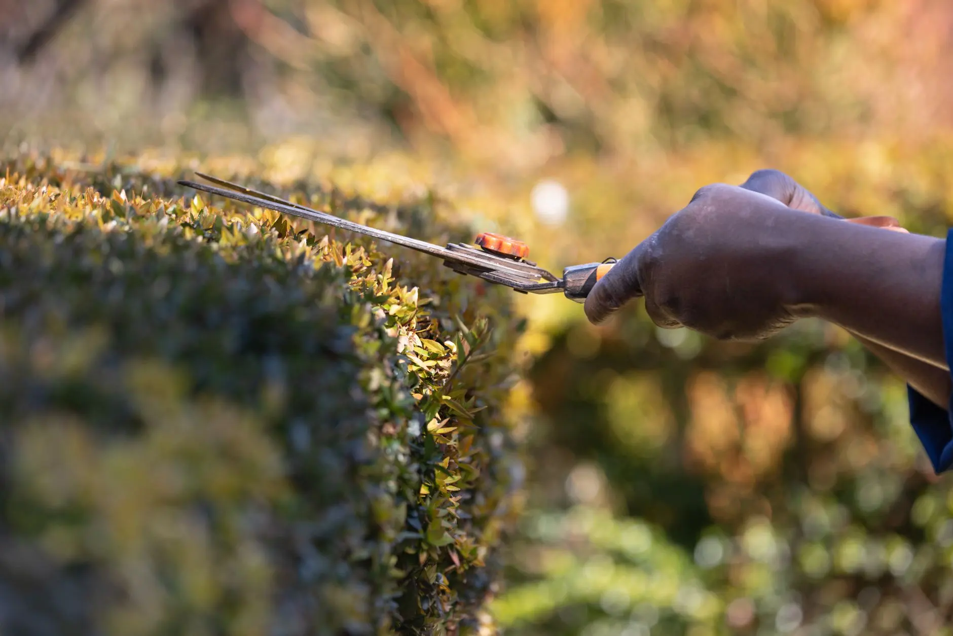 餐饮后厨托管模式如何提升门店运营效率与成本控制