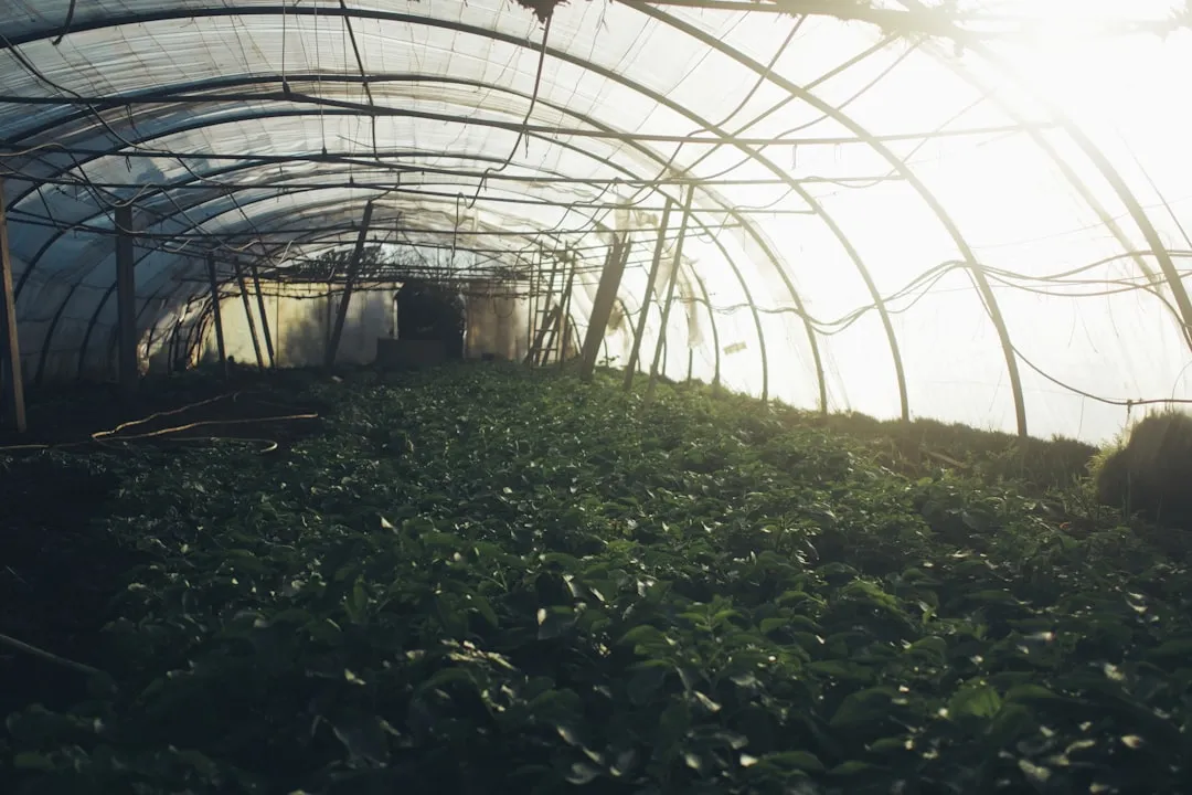 餐饮培训与后厨托管一体化方案的设计逻辑与实施路径