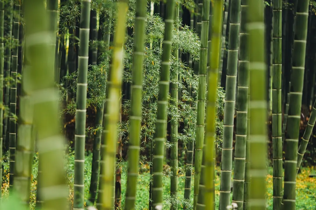后厨托管模式下餐饮门店运营效率提升的关键路径分析