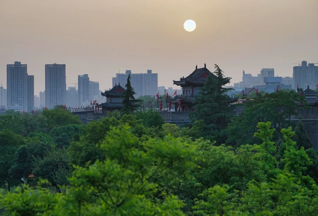 后厨托管模式下标准化管理体系的建设与优化方案